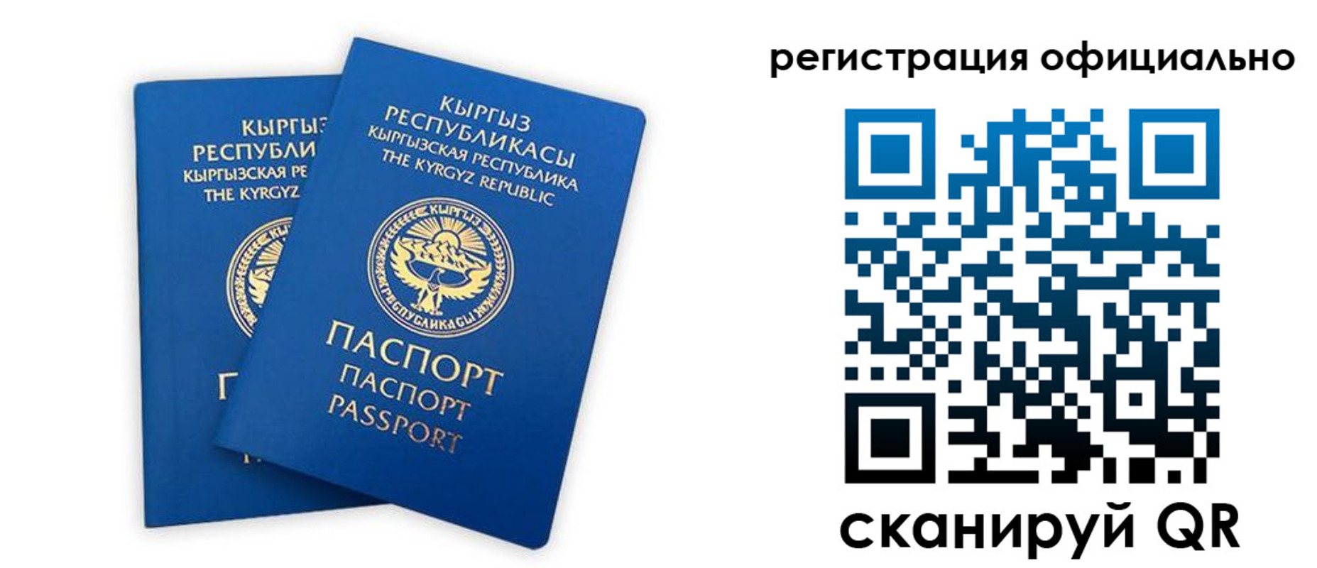 прописка поиск в Элисте